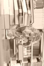 Need someone to type Dissertation Abstract on Anthropology